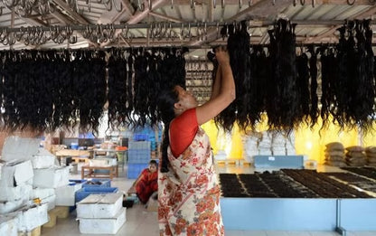 Curly Indian raw bundles