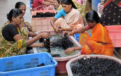 Fasci di capelli indiani biondi